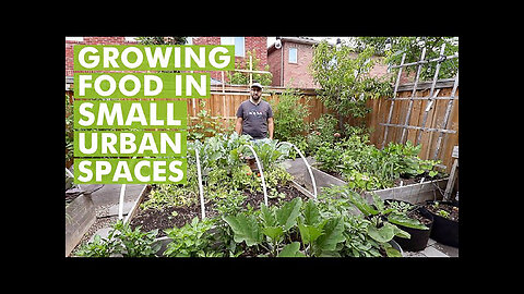 Organic Gardening at Your backyard