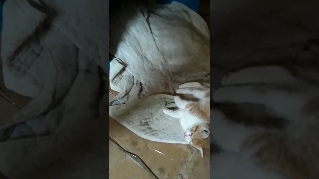 looking in on the babies