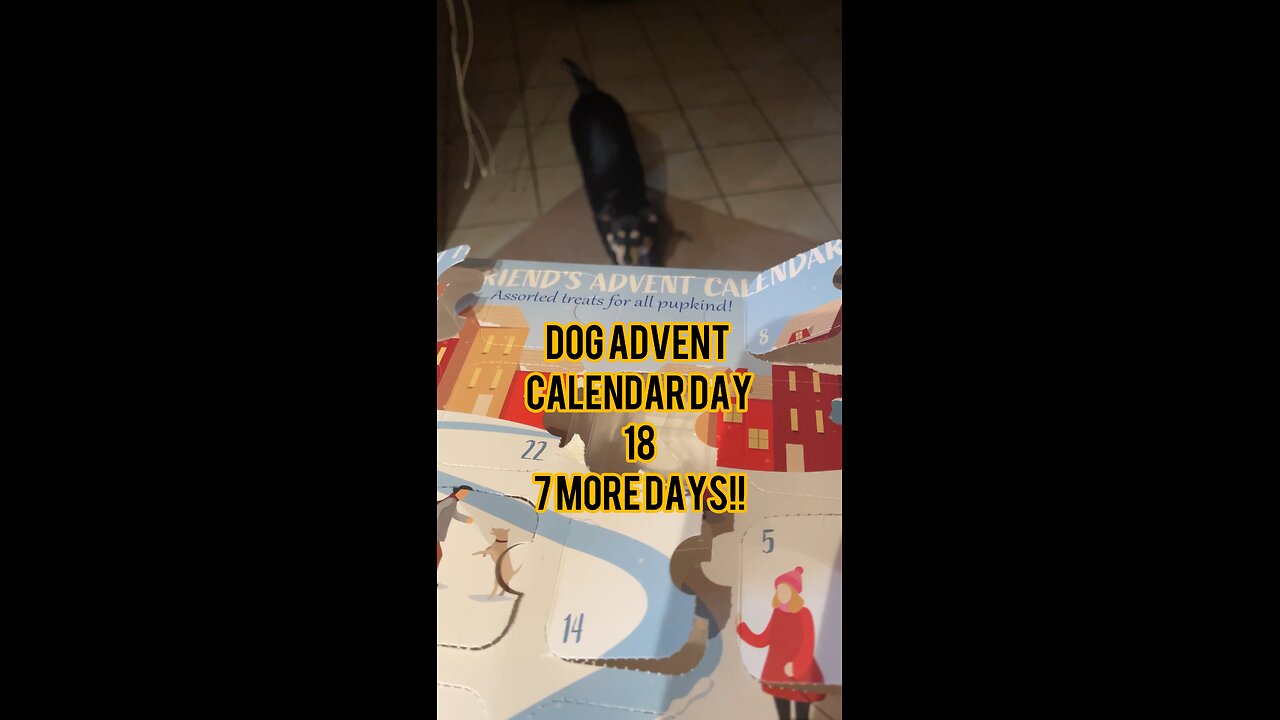 Himalayan Dog Chew 24 Joyful Days Dog Advent Calendar Day 18