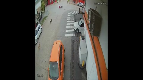 Road Runner passing by