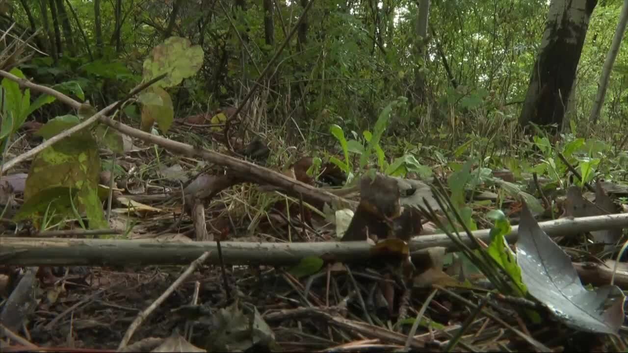 Chautauqua County Sheriff's Deputies search area where remains were found