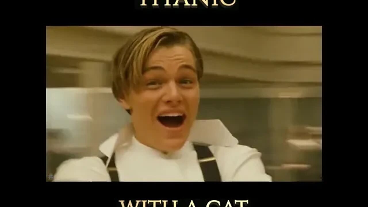 Titanic With A Cat