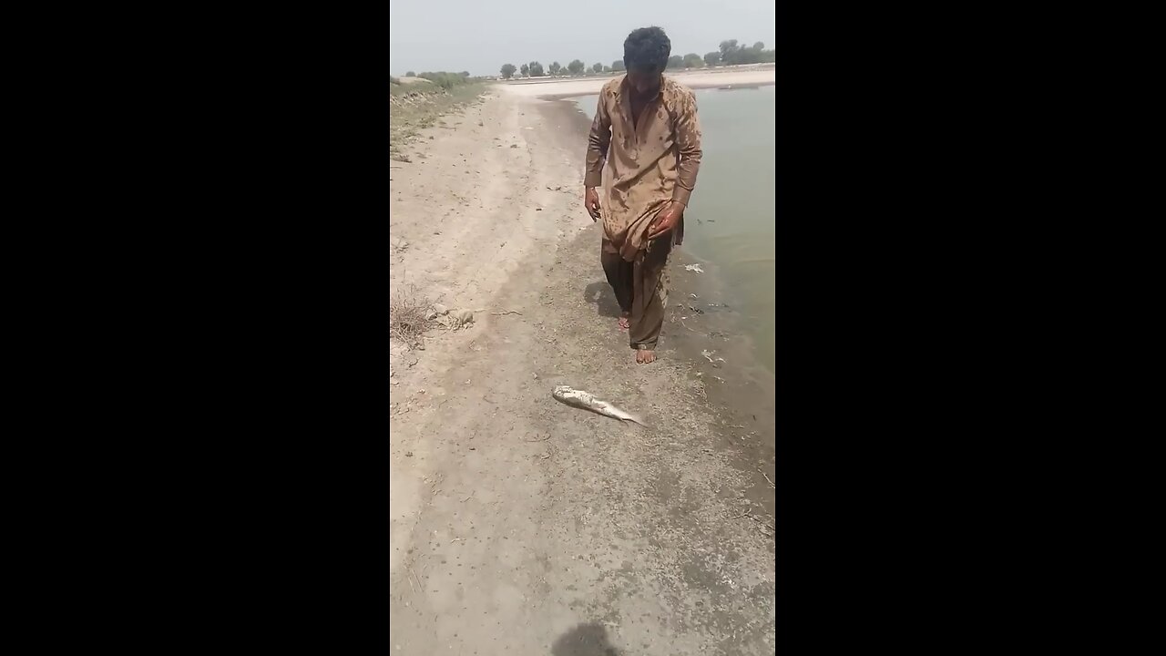 Fisher man catch fish from river