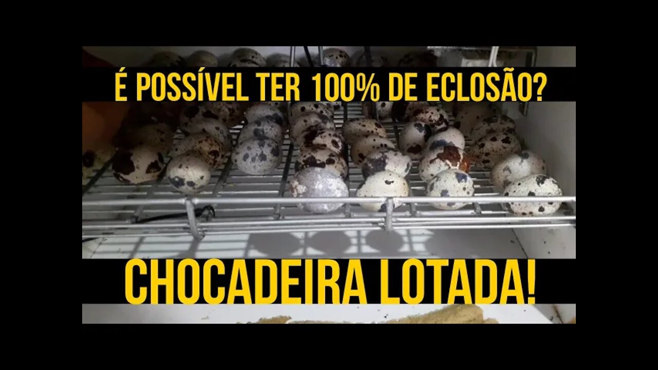 ENCHI A CHOCADEIRA DE NOVO