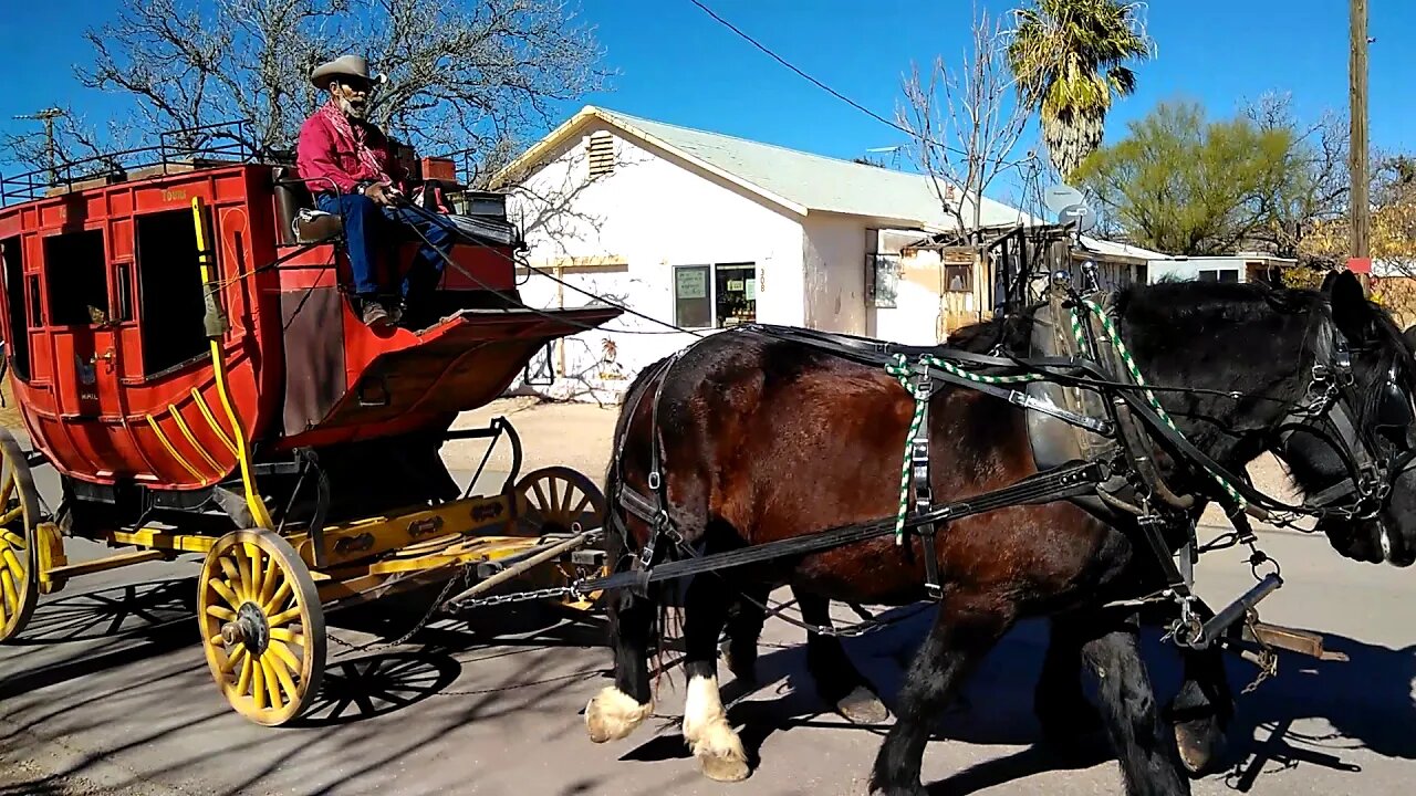 Guided Stagecoach Rides