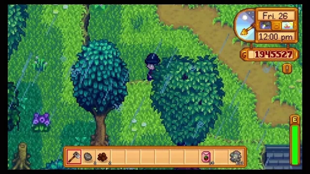Stardew valley Part 8
