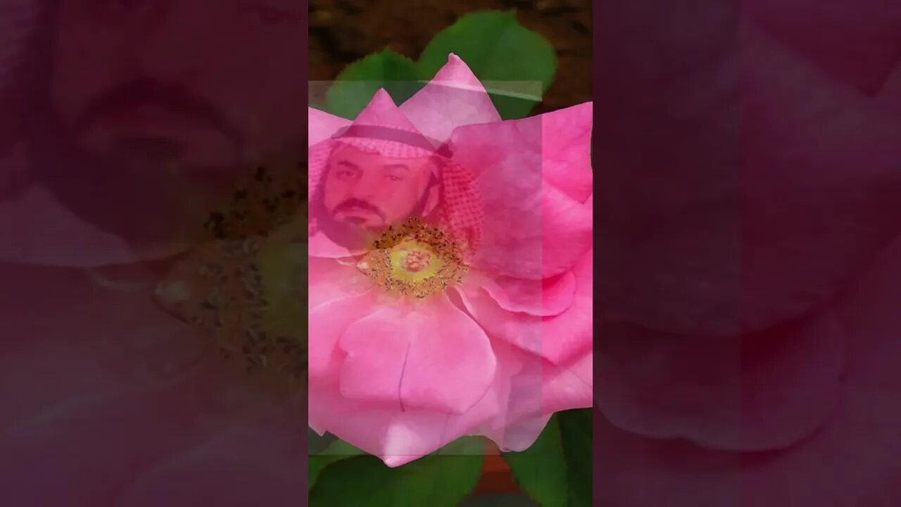 أجمل ماسنعت تبارك الله @ALIAL-FARHOUD