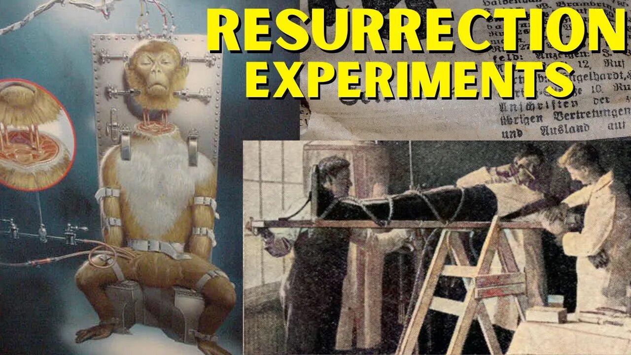 Bringing the Dead Back to Life: The Controversial World of Resurrection Experiments