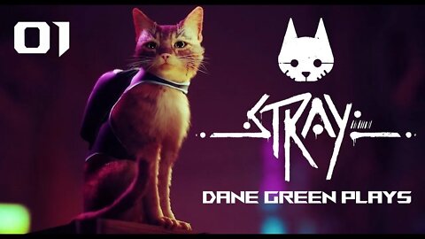 Dane Green Plays Stray Part 01