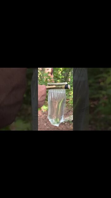 Survival Tips You Need To Know