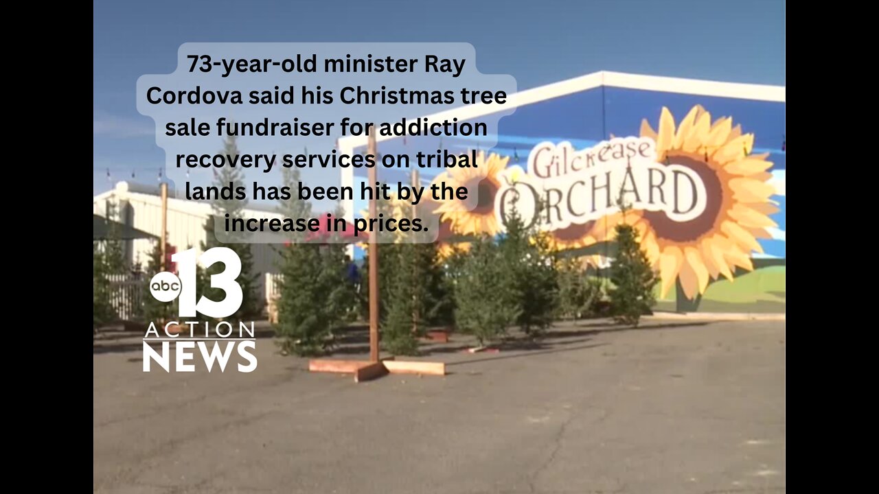 Christmas tree prices high heading into holiday season