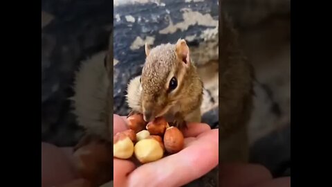 Feeding Squishy Is So Cute!