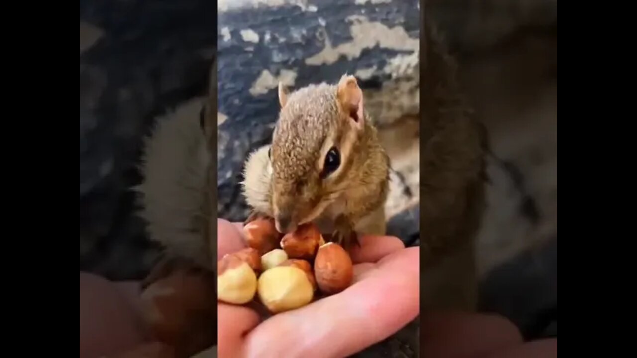 Feeding Squishy Is So Cute!