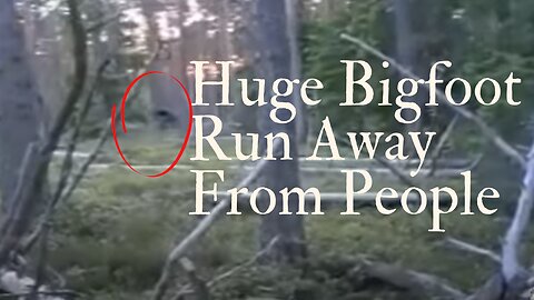 Huge Bigfoot Run Away From People