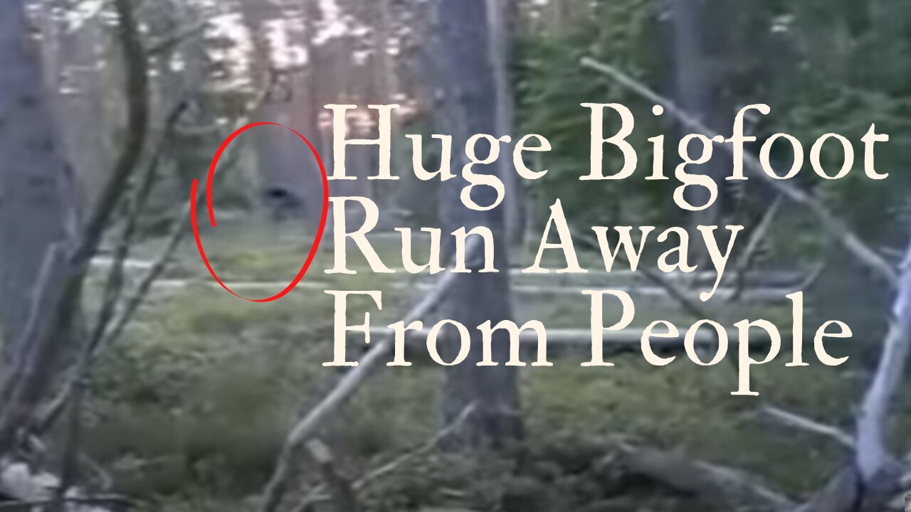 Huge Bigfoot Run Away From People