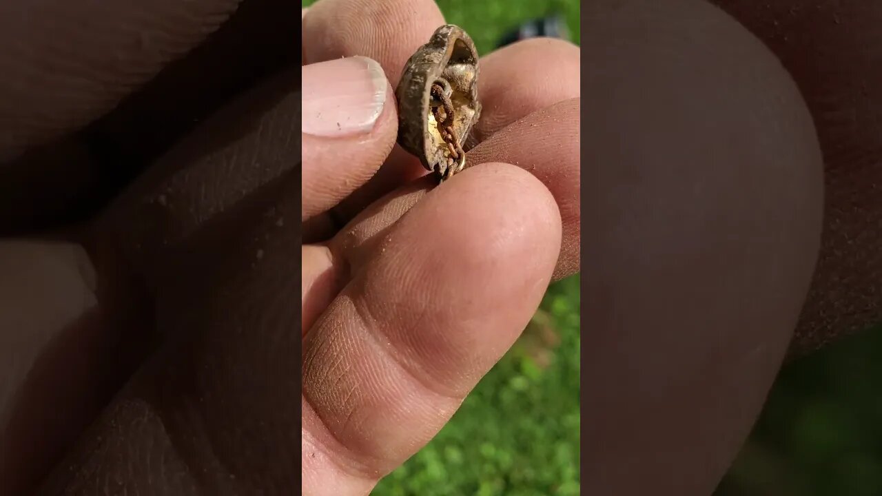 Froggy #metaldetecting #button #coins #silver #shorts #trending #civilwar #frog #jewelry #jewellery