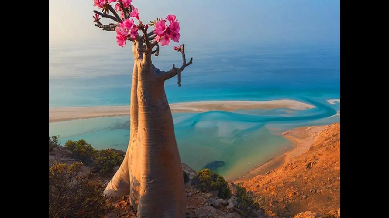 Socotra Island, Yemen