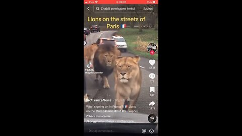 Paris FR: Sightseeing Has Taken On A Whole Different.... Continent
