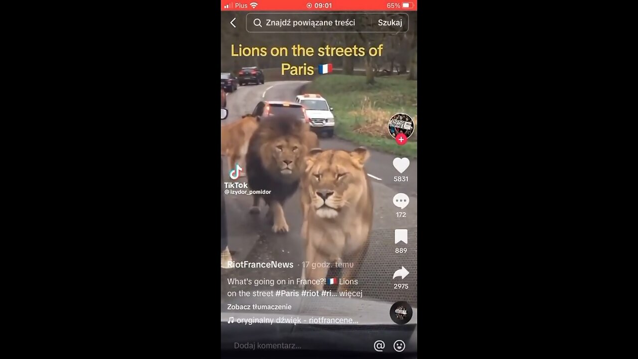 Paris FR: Sightseeing Has Taken On A Whole Different.... Continent