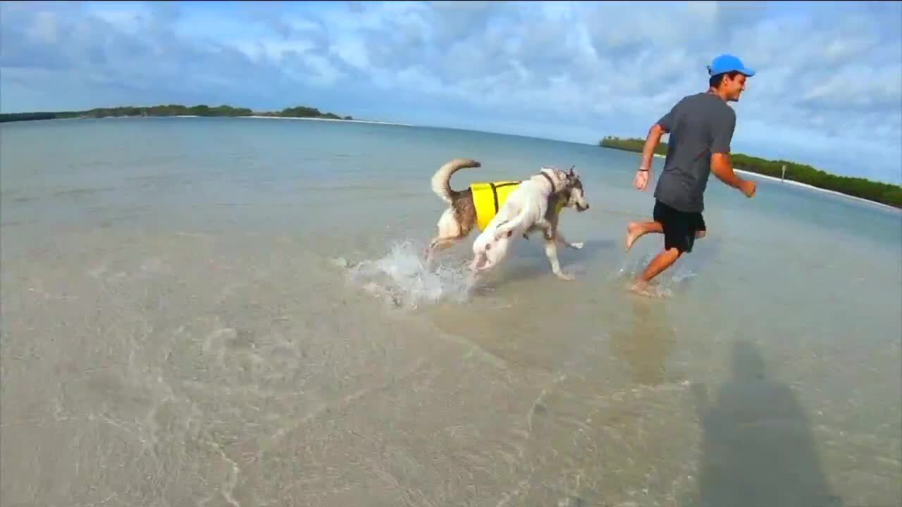 Dog Beach and Boca Grande Beach reopen to the public