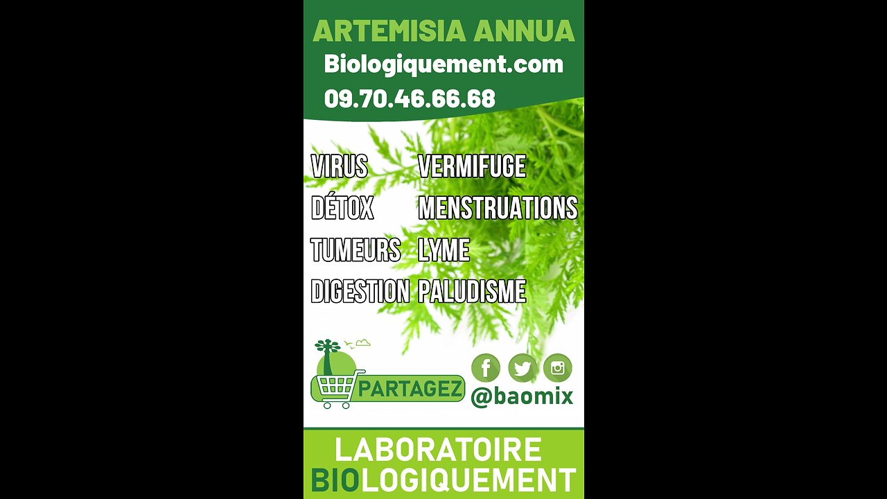 L'Artemisia annua bio du laboratoire Biologiquement.com