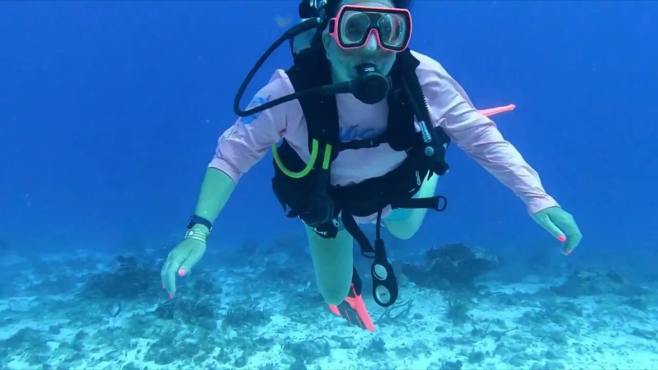 Cozumel Dive 13 Punta Dalila