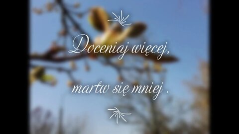 Aforyzm