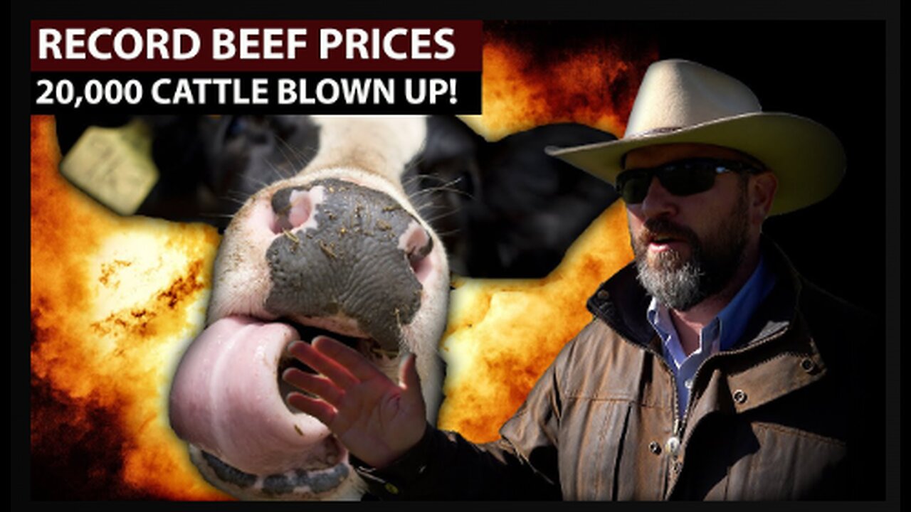 BURNED ALIVE 20,000 HEAD OF CATTLE! Beef Prices Skyrocketing!!