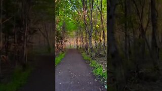 Beautiful trails during sunset