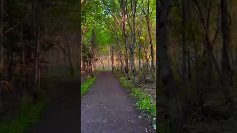 Beautiful trails during sunset