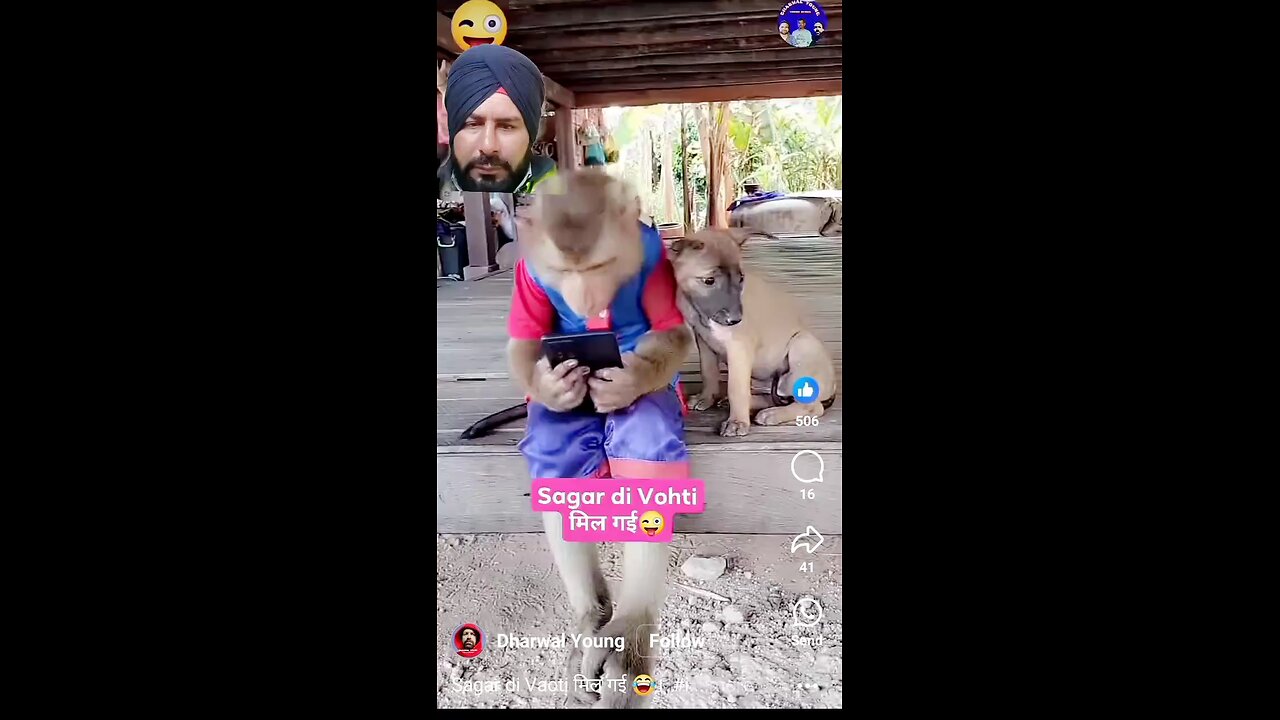 entertainment