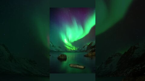 #shortsfullvideos Goodnight! shortsfullvideos relaxing videos romantic.#shorts