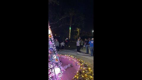Have Yourself A Merry Little Christmas - Performed On The Trumpet