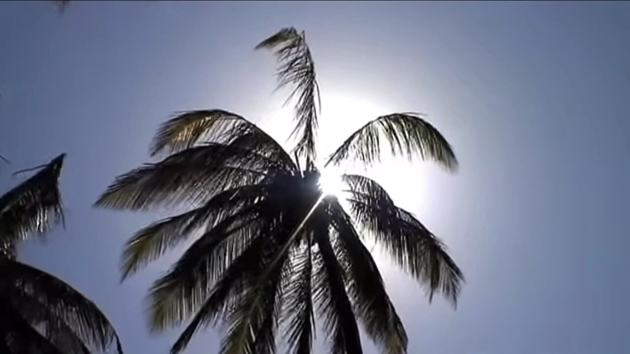 The Secret Child Sex Trade Hiding in Kenya's 🇰🇪 Tropical Paradise