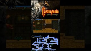 CASTLEVANIA SOTN #5