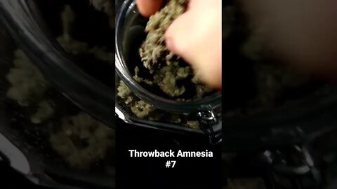 Amnesia #7 #short