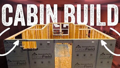 Raising the Roof... | Mini Cabin Build