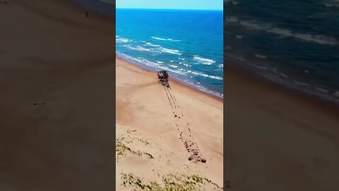 Flying back to the dock