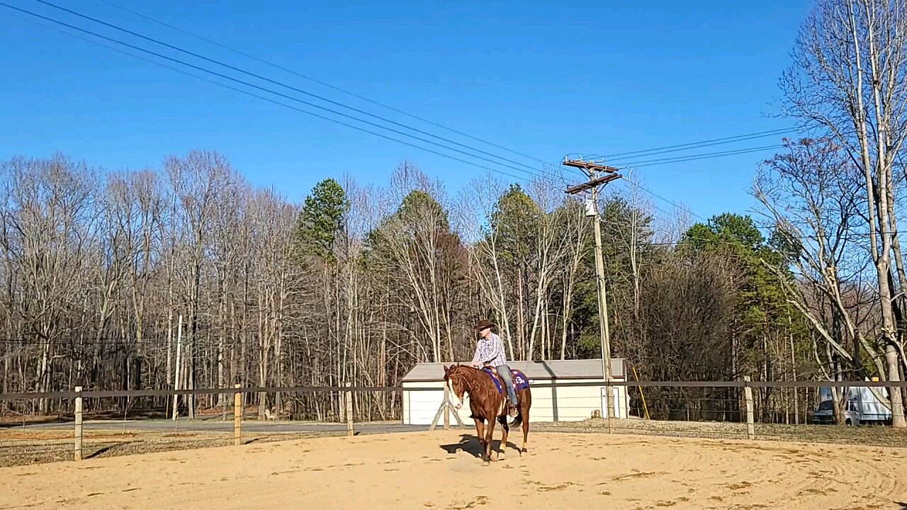 Part Time Cowboy and Cody