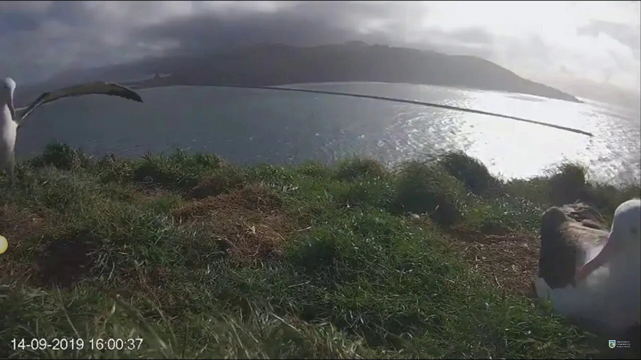 Karere enjoys a windy day. 9-14-19