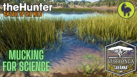 Mucking for Science, Vurhonga Savanna | theHunter: Call of the Wild (PS5 4K)