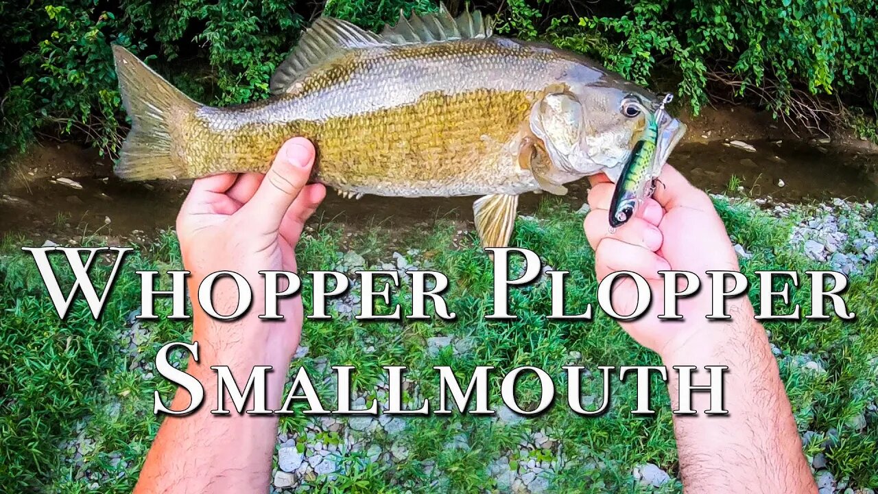 Whopper Plopper Smallmouth (CREEK BEAST CAUGHT!)