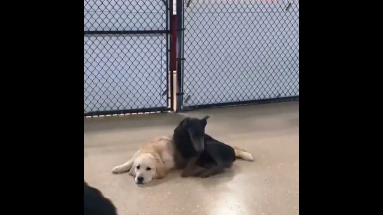 Looking for the best spot.. 😊