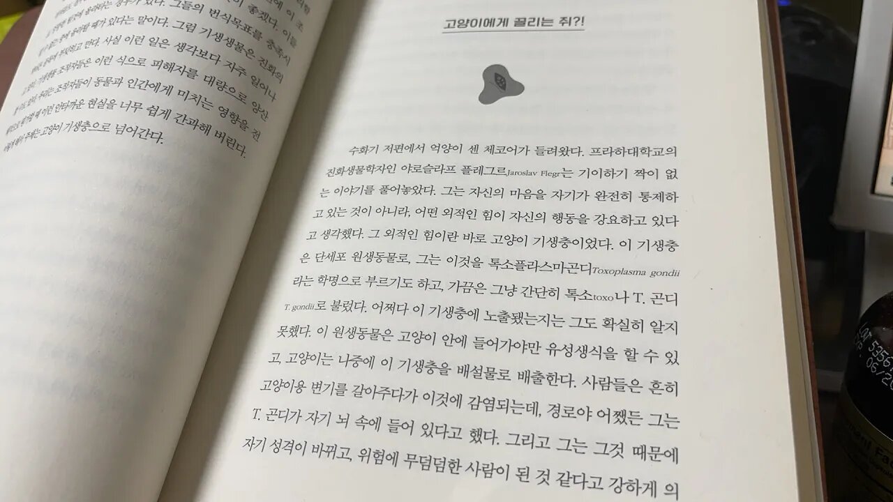 숙주인간, 캐슬린 매콜리프, 코양이에게 끌리는 쥐, 체코어, 톡소플라즈마곤디, 기생충, 배설물, 편집증, 항암화학요법, 면역억제제