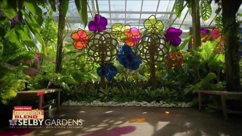 Selby Gardens | Morning Blend