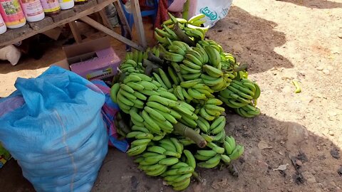 Friday Market Day Amou Oblo, Togo
