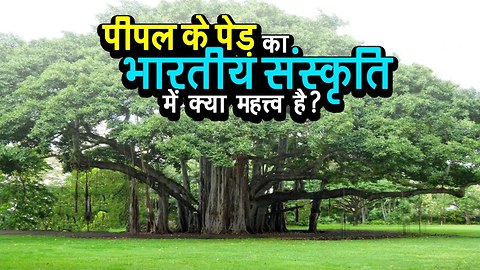 पीपल के पेड़ का भारतीय संस्कृति में क्या महत्त्व है ? | अर्था | आध्यात्मिक विचार