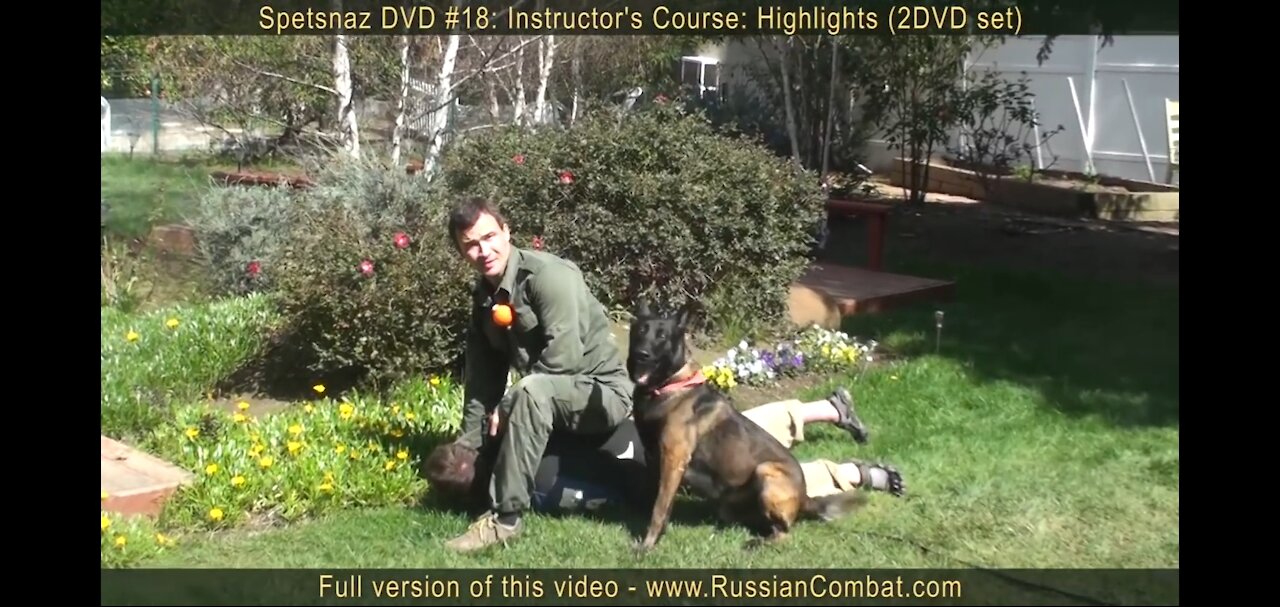 How to defend against a dog .self defense against dog attack,