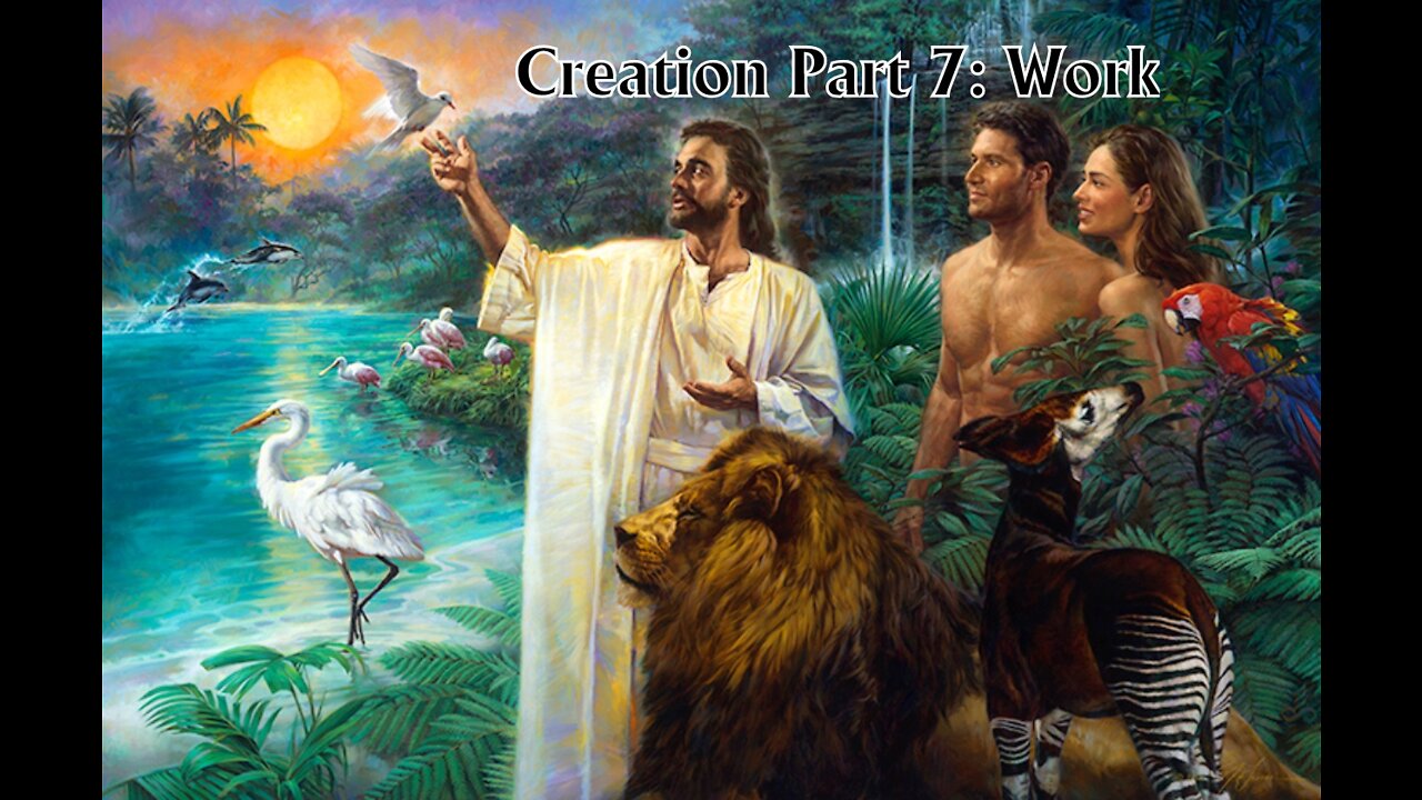 Creation Part 7: Work