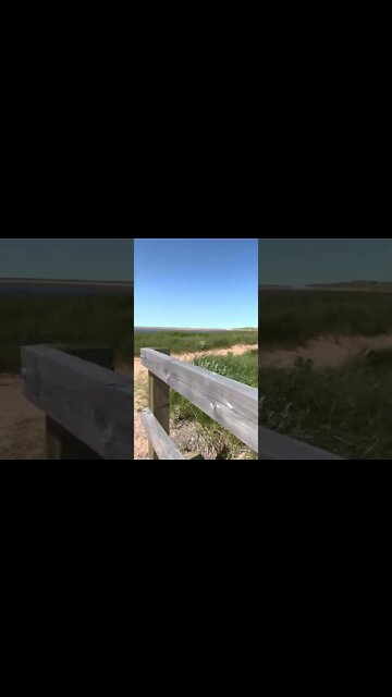 The Fin Restaurant and Tracadie Beach